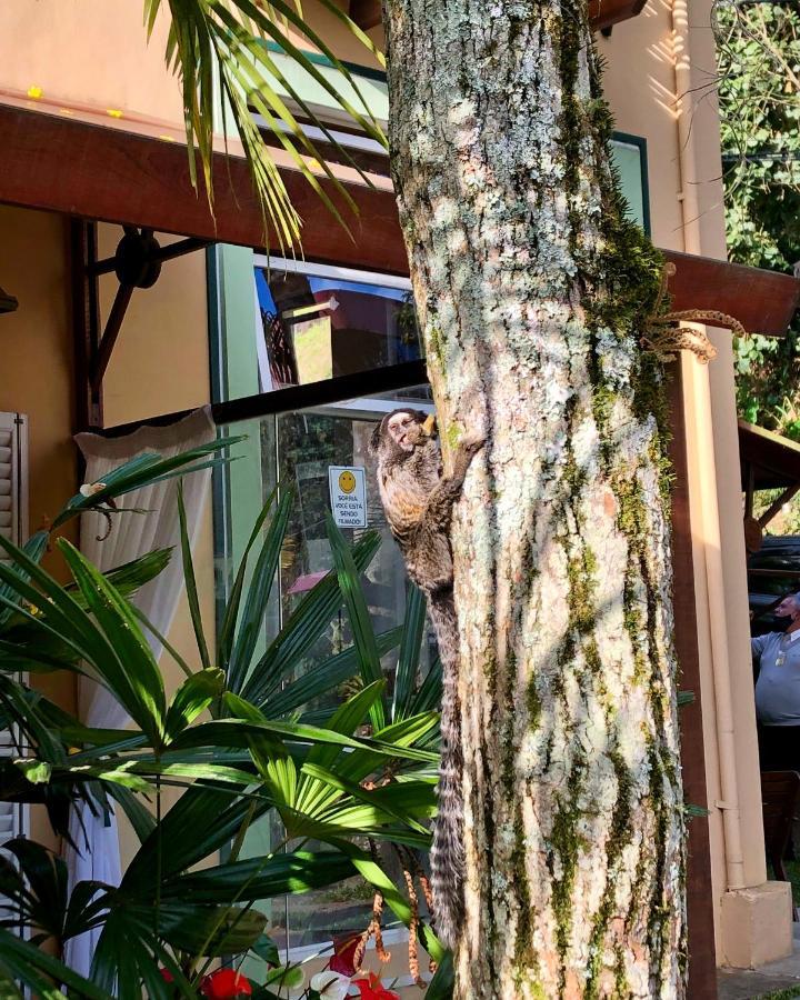 Pousada Pataca De Prata - Pousada De Epoca Petropolis  Ngoại thất bức ảnh